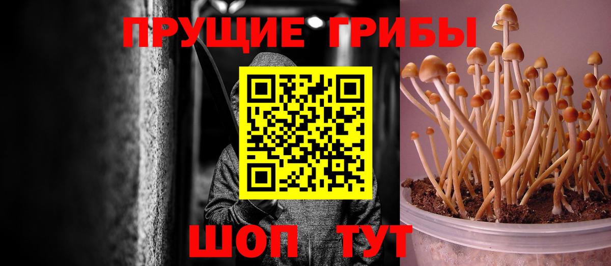 Псилоцибиновые грибы Cubensis  Вход с VPN  Мелеуз  Псилоцибиновые грибы GOLDEN TEACHER 