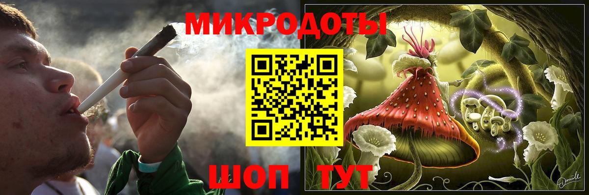 Псилоцибиновые грибы Psilocybe Мелеуз